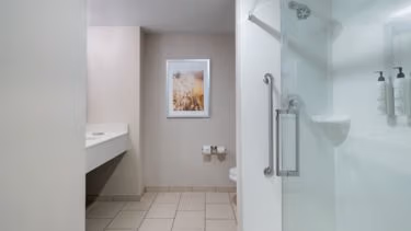 fi-agsfs-guest-bathroom-30541-22233_Wide-Hor